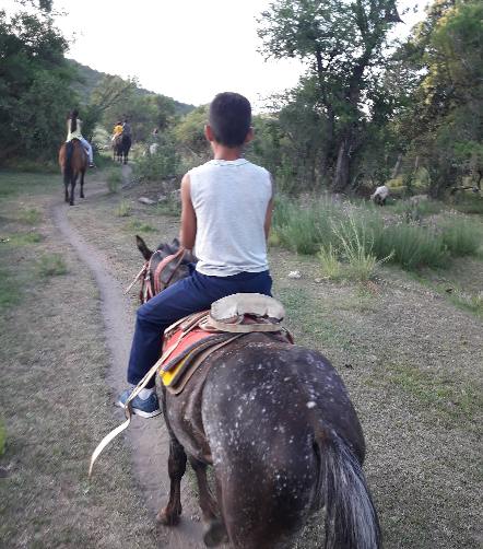 Paseos a caballo
