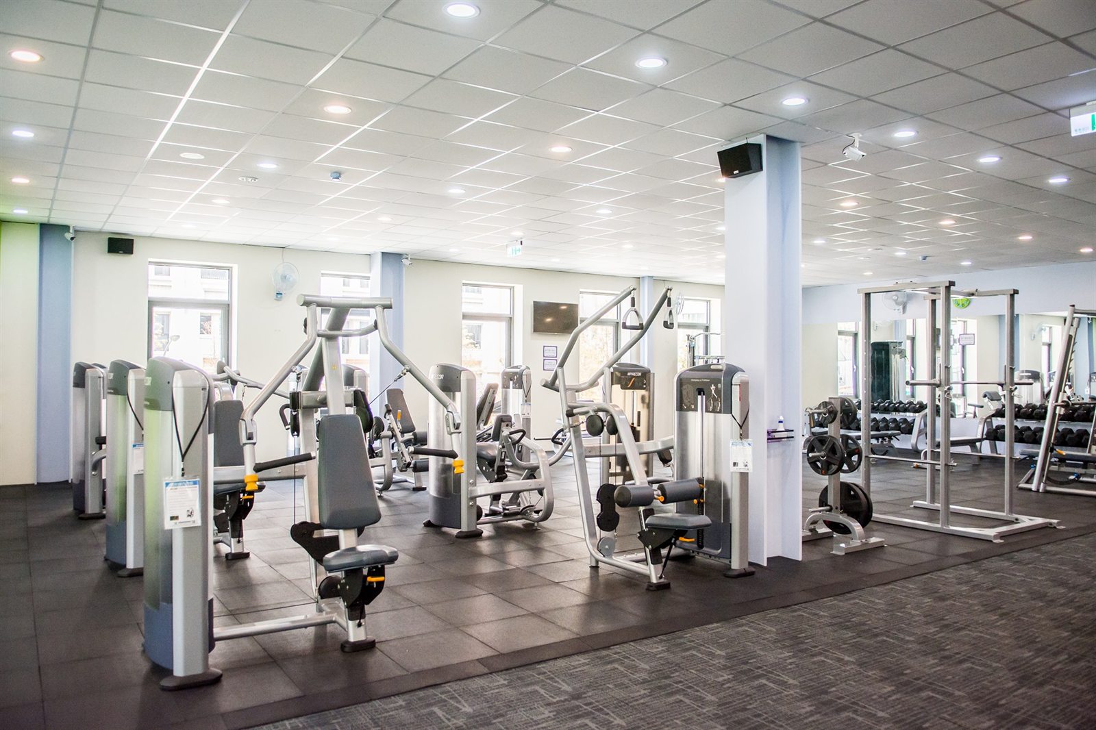 Gimnasio
