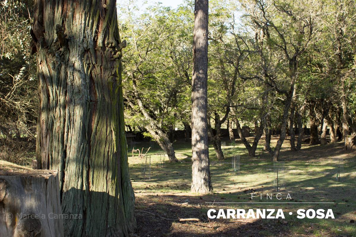 Senderos del parque