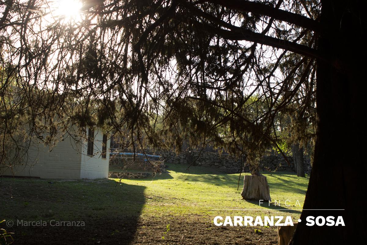 Atardecer en la finca