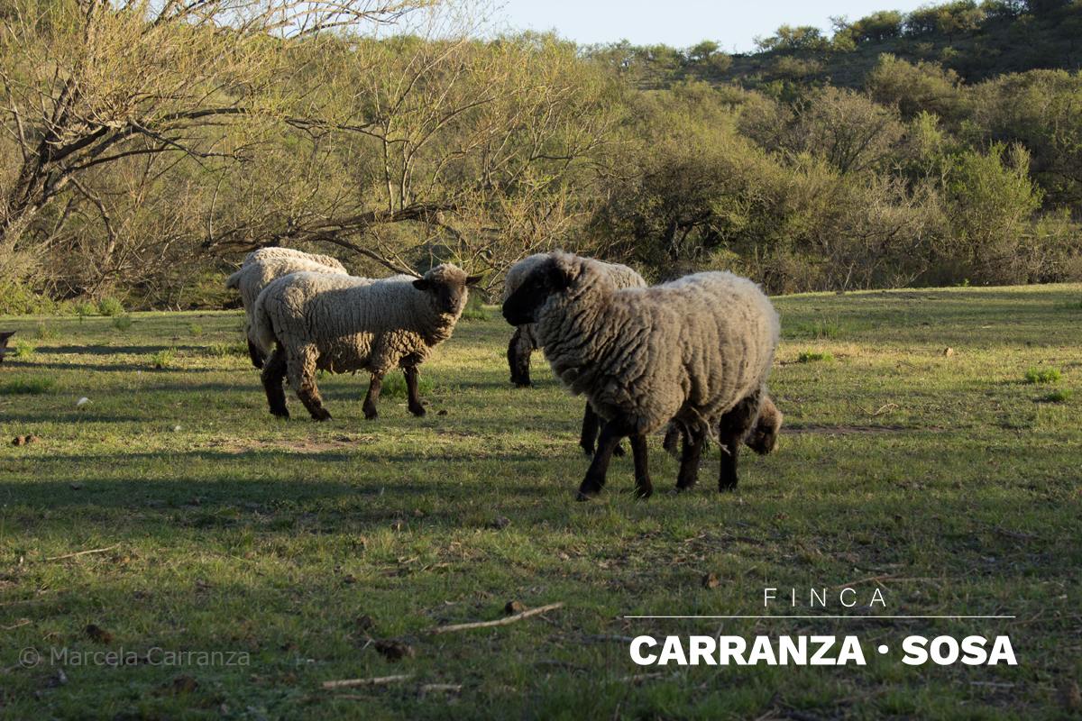 Granja ecologica