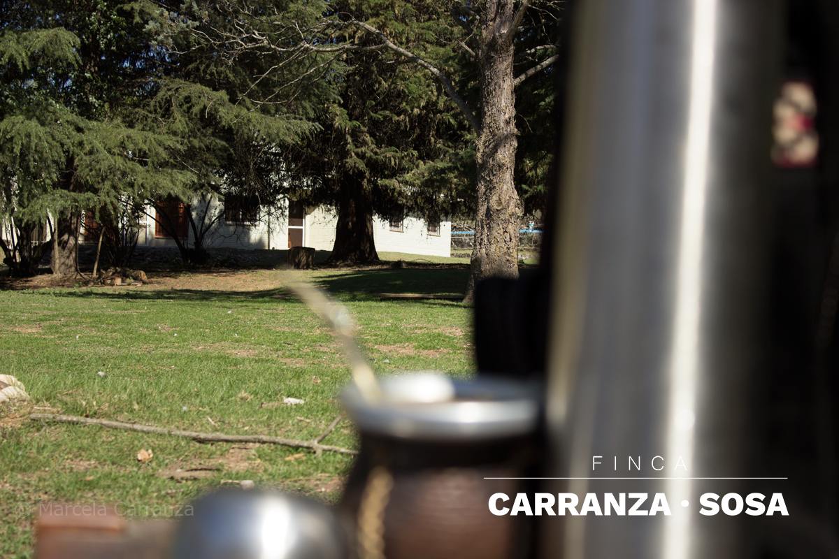 Vista desde el interior hacia el parque de la finca